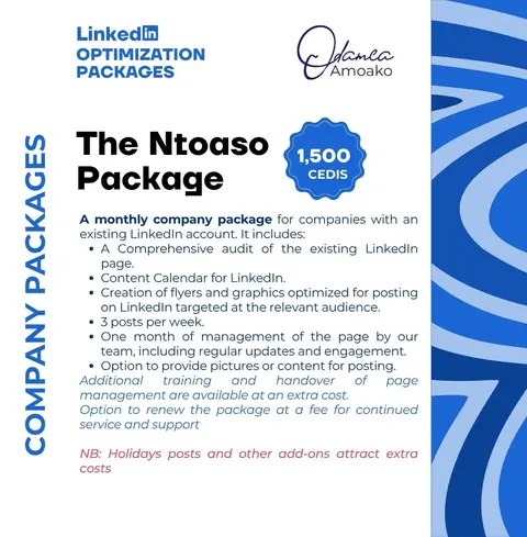 LinkedIn Ntoaso (Company) Package
