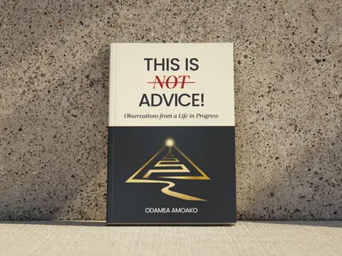This is Not Advice E-book