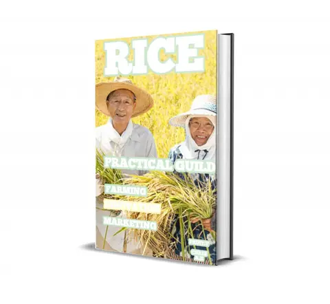 PRACTICAL MANUAL ON RICE FARMING AND PROCESSING