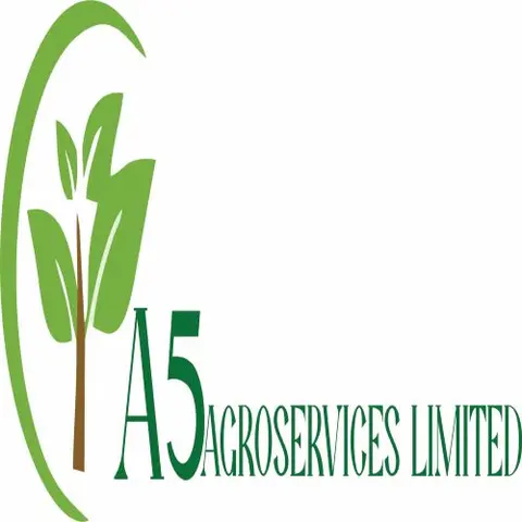 One-on-One Business Session for 1 hour