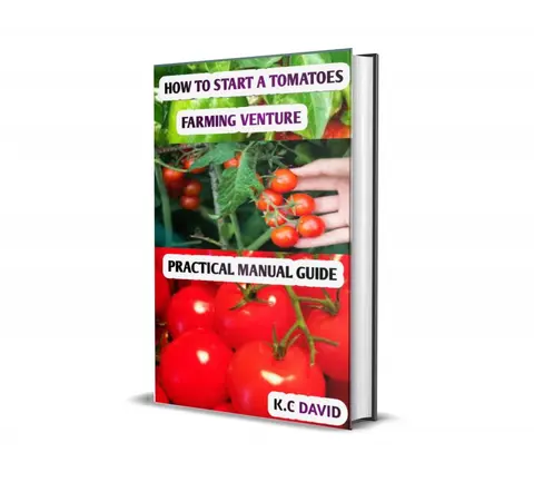 TOMATOES FARMING PRACTICAL GUIDELINES