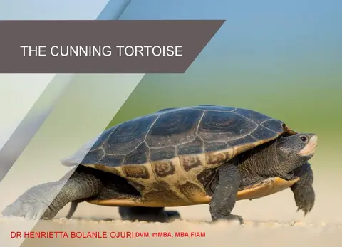THE CUNNING TORTOISE.