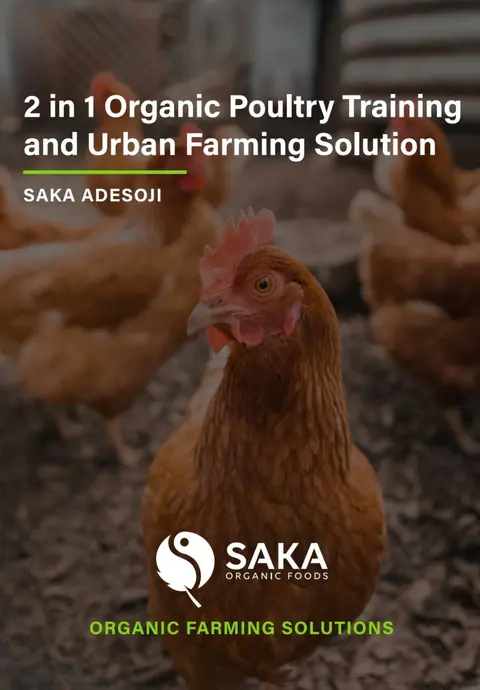 2 in 1 Organic Poultry and Urban Farming: Part 1 Poultry