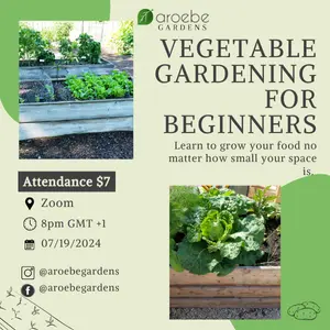 Vegetable Gardening for Beginners