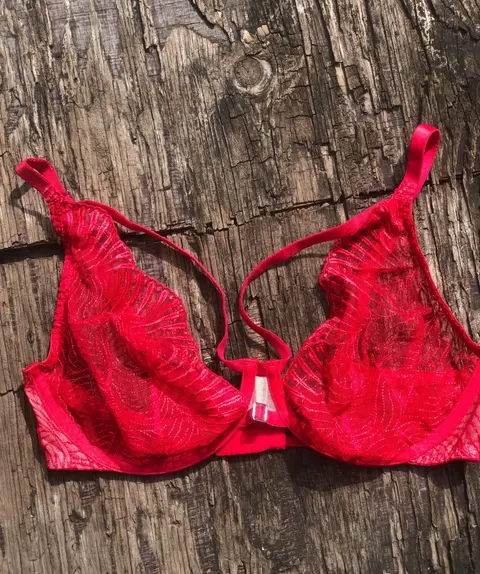FRONT HARNESS LACE RED PUSH UP BRA