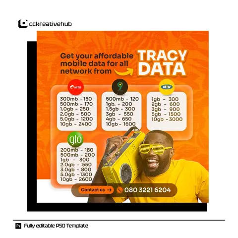 Data sales flyer template