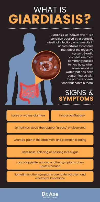 Nutritional and Traditional Remedies for Giardiasis