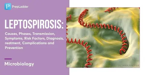 Prevention and Control of Leptospirosis