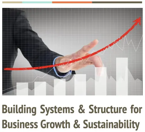 Building Systems & Structure for Business Sustainability