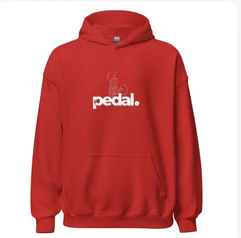 Pedalpoint studio heavy blended hoodie