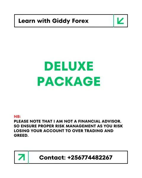Deluxe Mentorship Package – $180/month