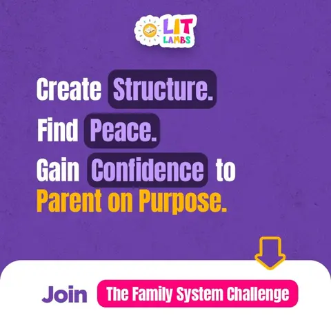 The Lit Family System Implementation Challenge