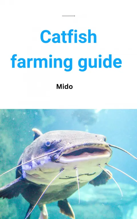 Fish farming guide At Home