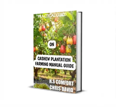 PRACTICAL GUILD ON CASHEW FARMING PLANTATION