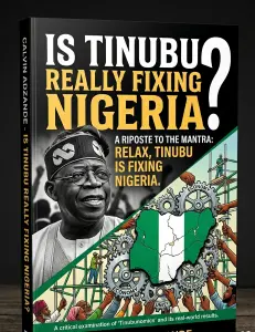 Is Tinubu Really Fixing Nigeria?