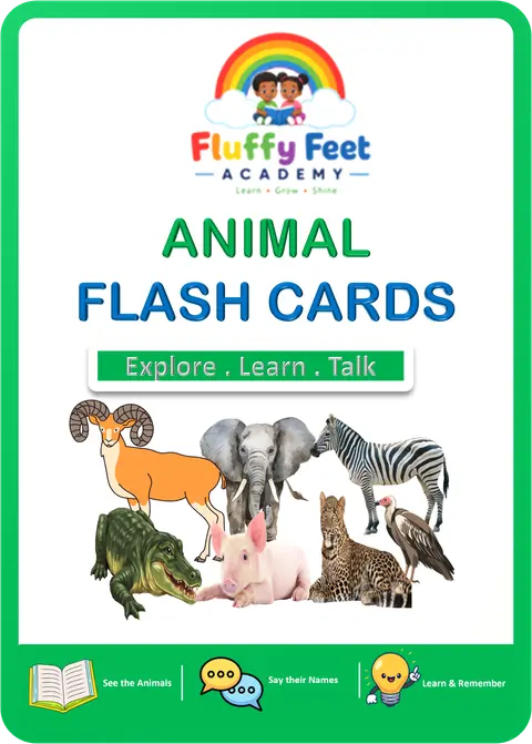 Animal Flash Cards