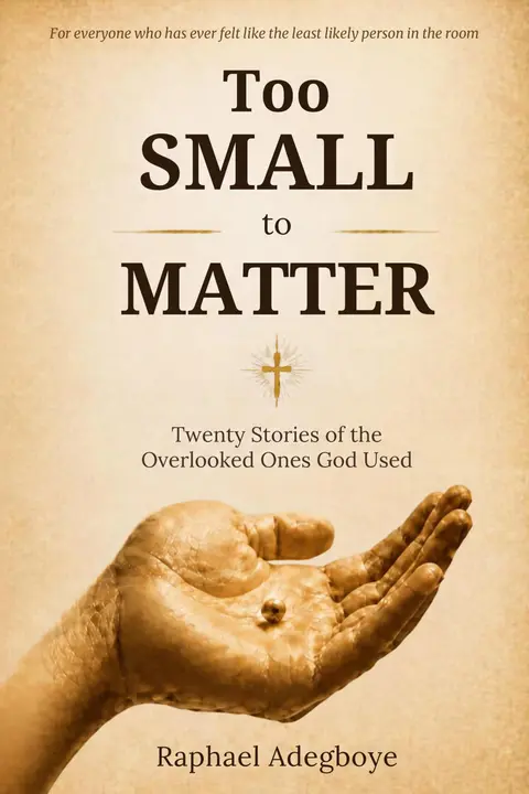 Too Small To Matter - Twenty Stories Of The Overlooked Ones God Used