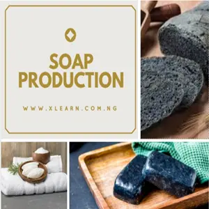 How to Create Luxury Natural Soaps from Scratch (Cold Process & Liquid Formulas)